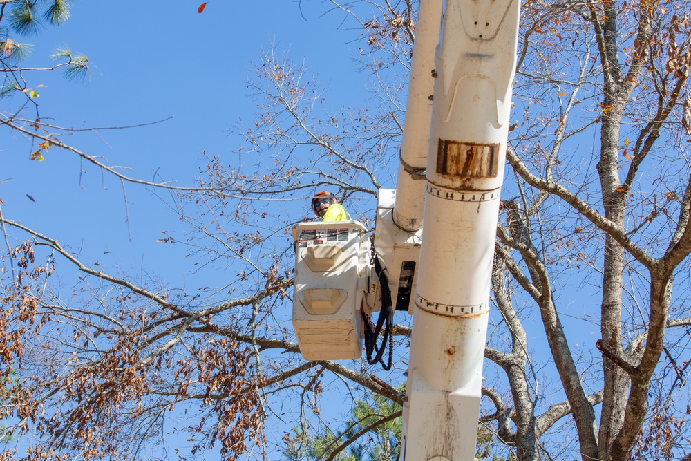 Hurricane Helene Recovery: Leaners, Hangers, and Stump Removal Candler County, Georgia.