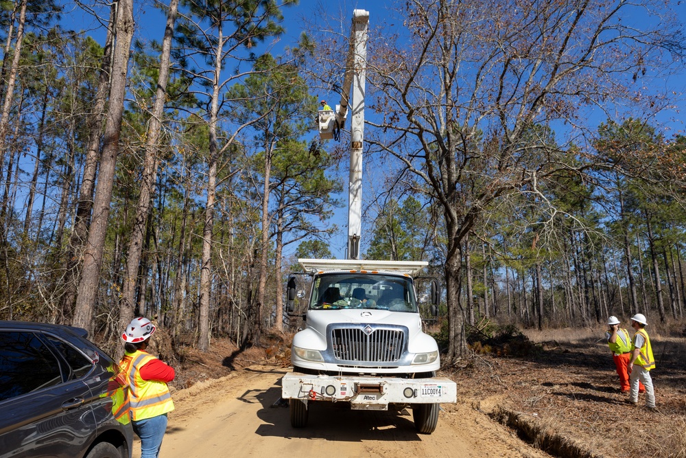 Hurricane Helene Recovery: Leaners, Hangers, and Stump Removal Candler County, Georgia.