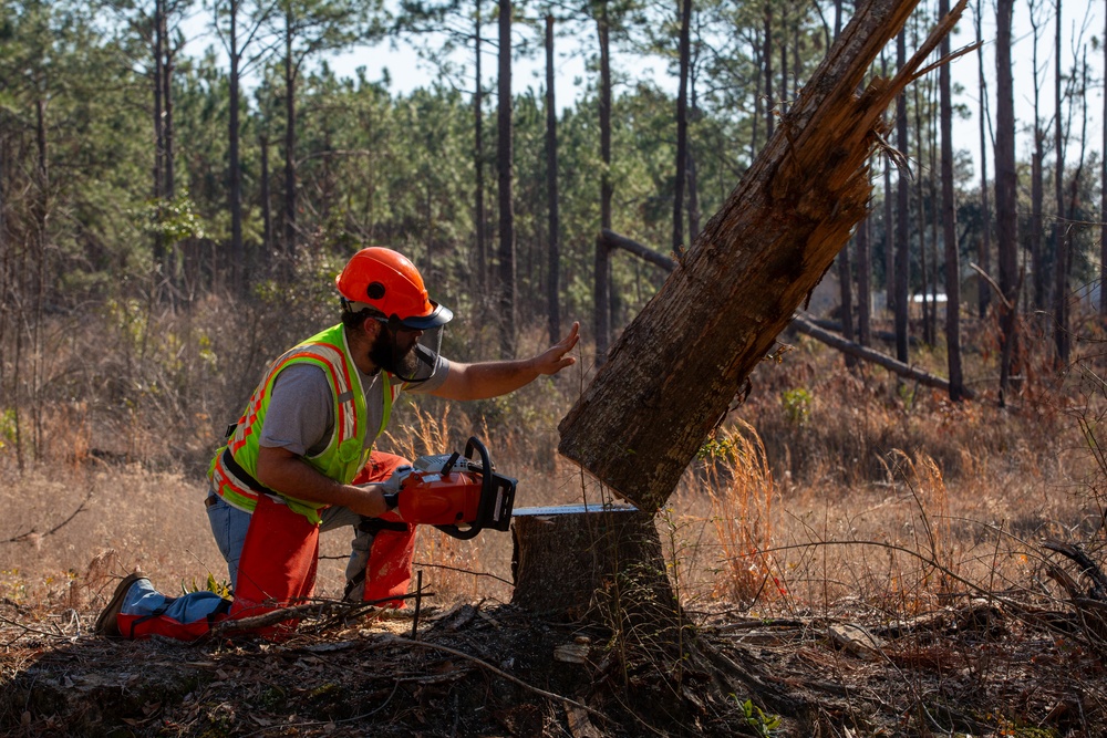 Hurricane Helene Recovery: Leaners, Hangers, and Stump Removal Candler County, Georgia.