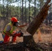 Hurricane Helene Recovery: Leaners, Hangers, and Stump Removal Candler County, Georgia.