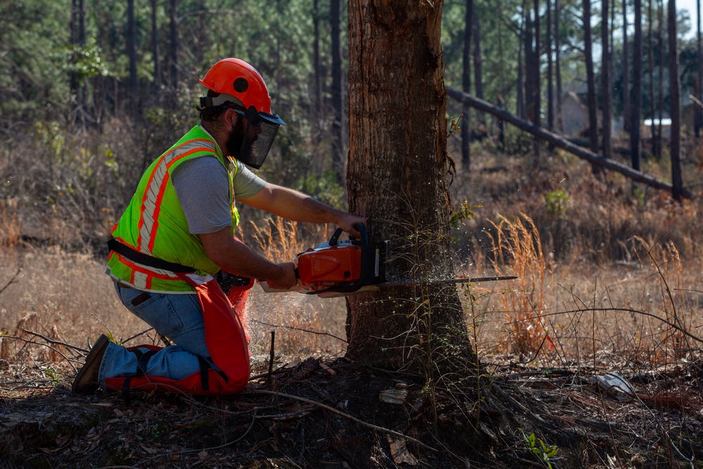 Hurricane Helene Recovery: Leaners, Hangers, and Stump Removal Candler County, Georgia.