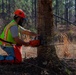 Hurricane Helene Recovery: Leaners, Hangers, and Stump Removal Candler County, Georgia.