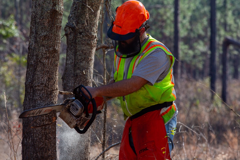 Hurricane Helene Recovery: Leaners, Hangers, and Stump Removal Candler County, Georgia.