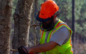 Hurricane Helene Recovery: Leaners, Hangers, and Stump Removal Candler County, Georgia.