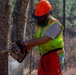 Hurricane Helene Recovery: Leaners, Hangers, and Stump Removal Candler County, Georgia.