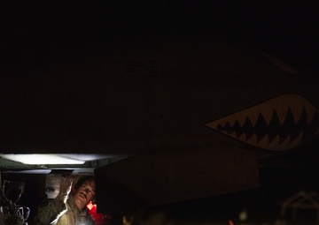 Agile Spartan brings the thunder, employing A-10 Thunderbolt II