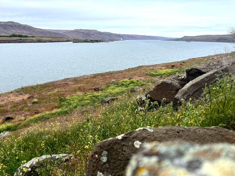 Columbia River views