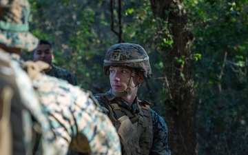 U.S. Marines with the 2nd MAW Band hold security force training