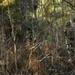 U.S. Marines with the 2nd MAW Band hold security force training