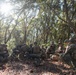 U.S. Marines with the 2nd MAW Band hold security force training