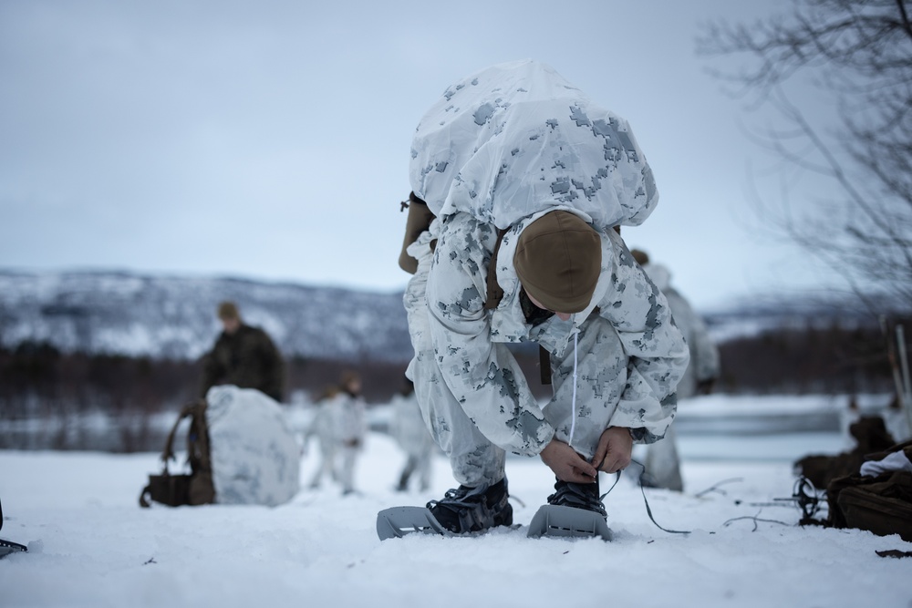 Exercise Joint Viking 25: Ice Breaker