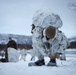 Exercise Joint Viking 25: Ice Breaker