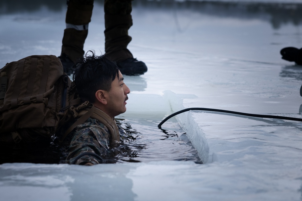 Exercise Joint Viking 25: Ice Breaker