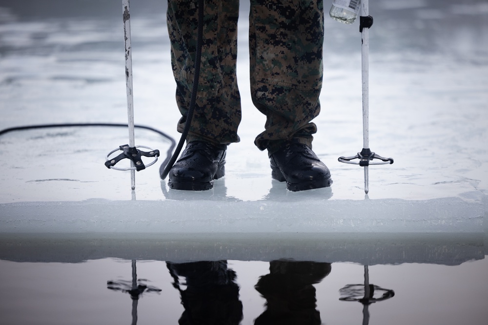 Exercise Joint Viking 25: Ice Breaker