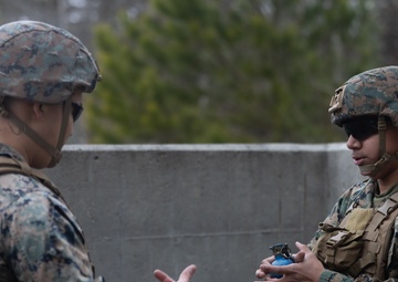 2nd CRR REGFEX: M67 Grenade Range