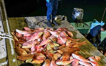 Coast Guard detains 11 Mexican fisherman, seizes 1,595 pounds of illegally caught fish and 9 sharks off Texas