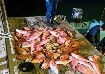 Coast Guard detains 11 Mexican fisherman, seizes 1,595 pounds of illegally caught fish and 9 sharks off Texas