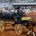 Service Members Honored at Fort Worth Stock Show &amp; Rodeo’s Military Appreciation Night