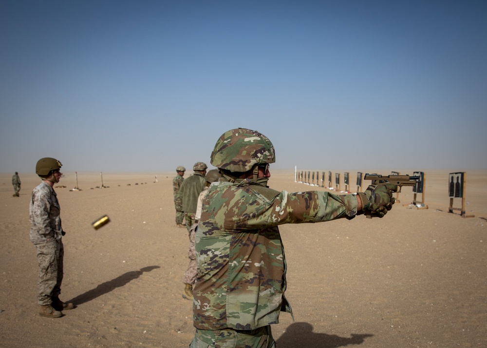 Coalition members put their skills to the test