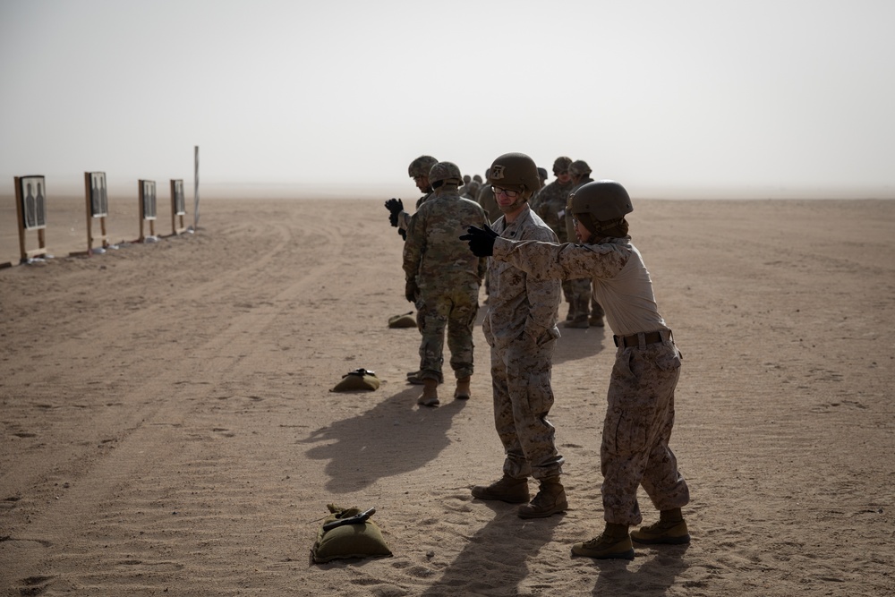 Coalition members put their skills to the test