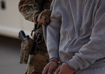 Border Patrol supporting Southern Border Mission