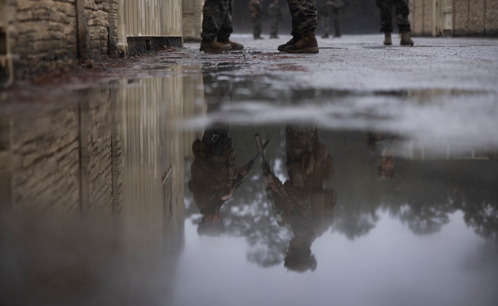 1st Battalion, 6th Marine Regiment, 2d Marine Division Operation Cheyenne Strike