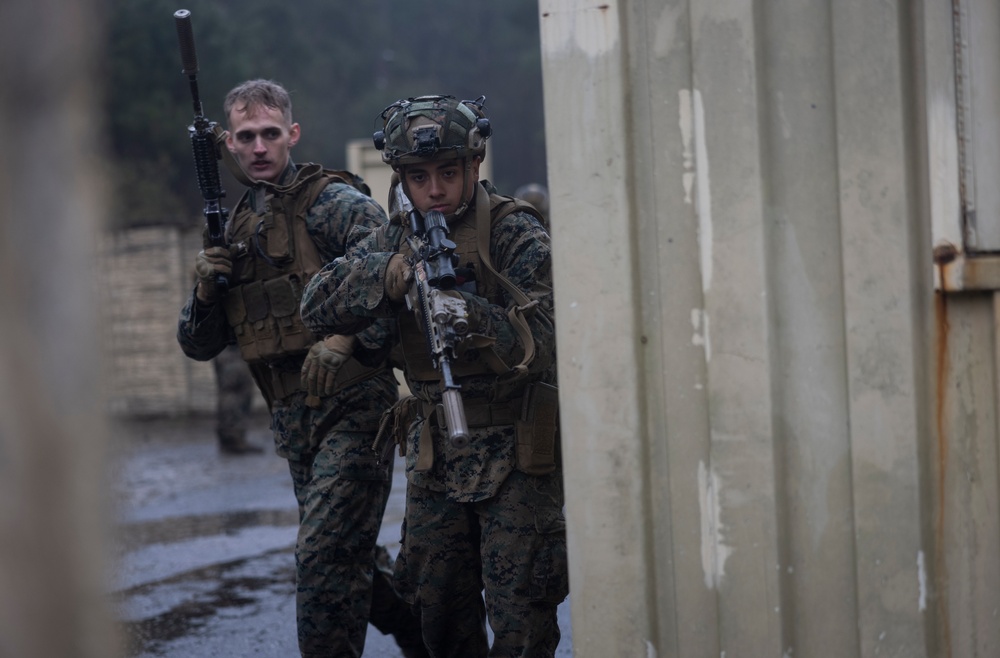 1st Battalion, 6th Marine Regiment, 2d Marine Division Operation Cheyenne Strike