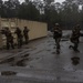 1st Battalion, 6th Marine Regiment, 2d Marine Division Operation Cheyenne Strike