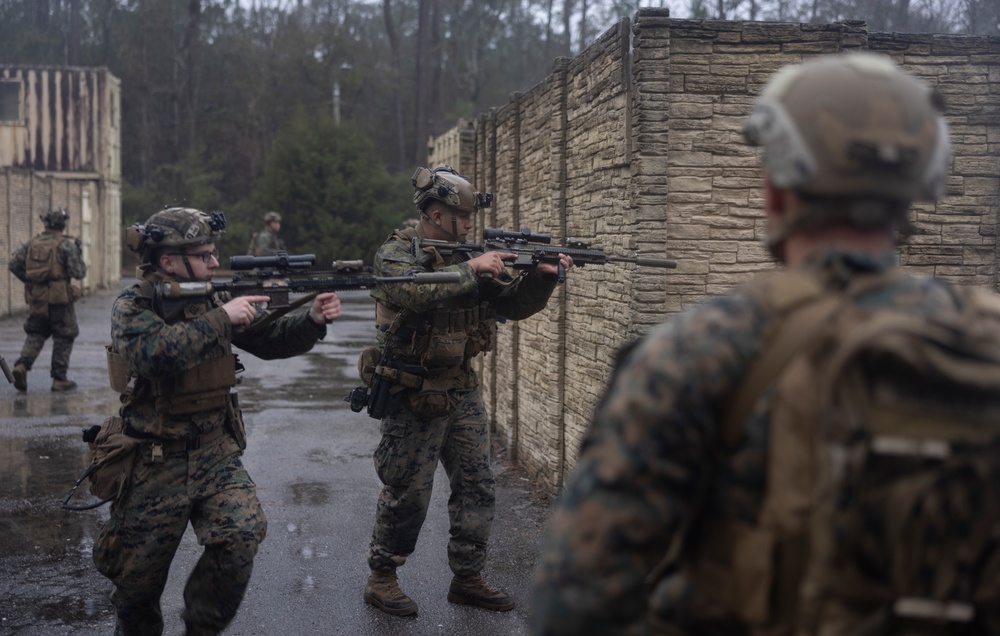 1st Battalion, 6th Marine Regiment, 2d Marine Division Operation Cheyenne Strike