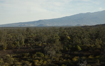 3d LCT| Infantry Battle Course at Pohakuloa