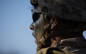 Summer Paint Night Spot