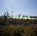 3d LCT| Infantry Battle Course at Pohakuloa