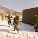 U.S. Marines Integrate with U.S. Army to Execute Platoon Attacks During Korea Viper 25.2