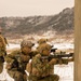 U.S. Marines Integrate with U.S. Army to Execute Platoon Attacks During Korea Viper 25.2