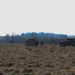 41st FAB Soldiers conduct dry-fire drive during brigade evaluation exercise