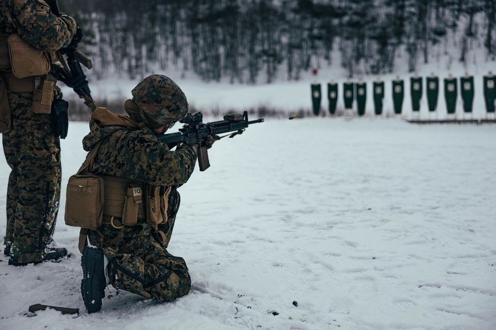 Exercise Joint Viking 25: CLB-2 Live-Fire Range