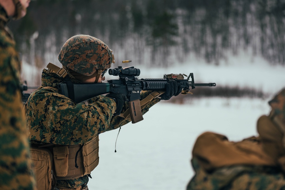 Exercise Joint Viking 25: CLB-2 Live-Fire Range