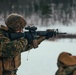 Exercise Joint Viking 25: CLB-2 Live-Fire Range