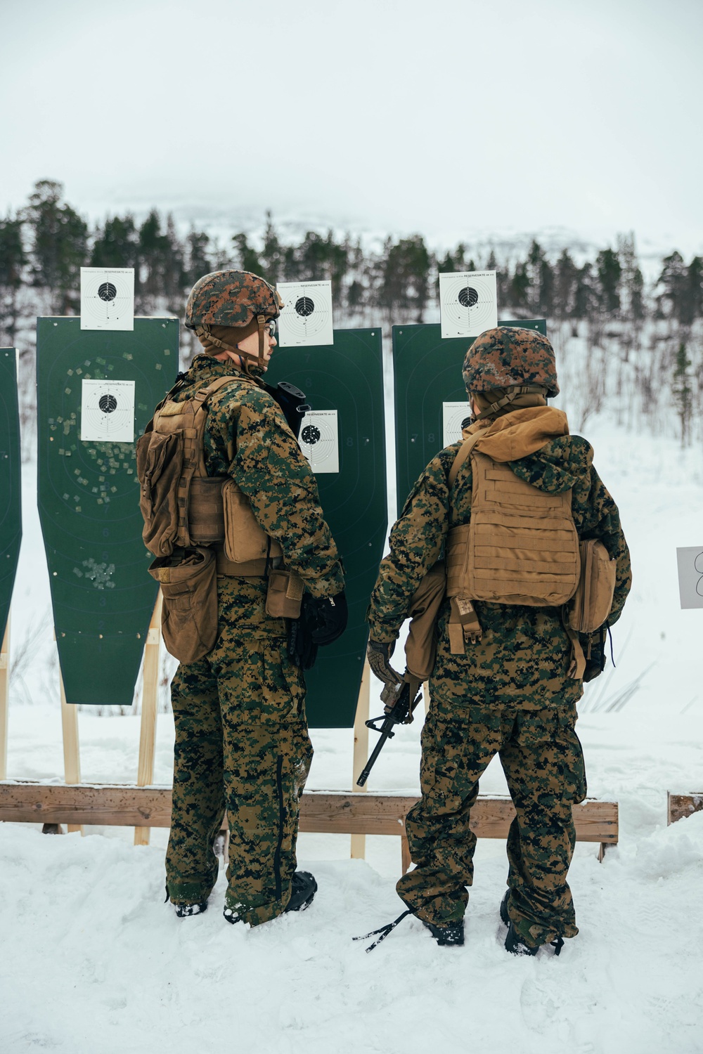 Exercise Joint Viking 25: CLB-2 Live-Fire Range