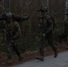 MAGTF Interop 3/6 India Co. Night Raid