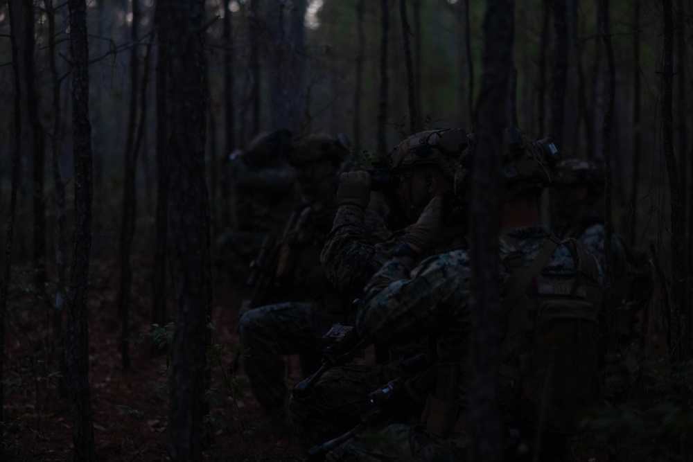 MAGTF Interop 3/6 India Co. Night Raid