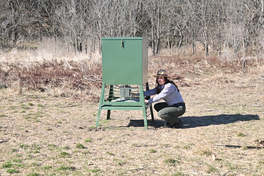 An Office in The Great Outdoors