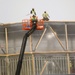 January 2025 barracks construction operations for East Barracks Project at Fort McCoy