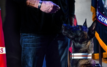 Retired MARSOC Marine Reflects on service and finds healing in a service dog