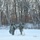 Air National Guard Arctic Training - Field Training Day 5