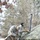Air National Guard Arctic Training - Field Training Day 5