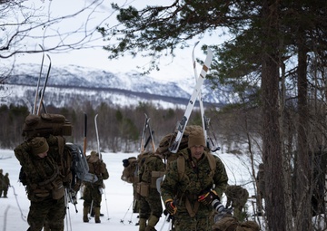 Exercise Joint Viking 25: Ice Breaker