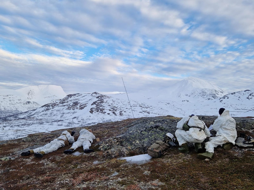 Exercise Joint Viking 25: FISTEX