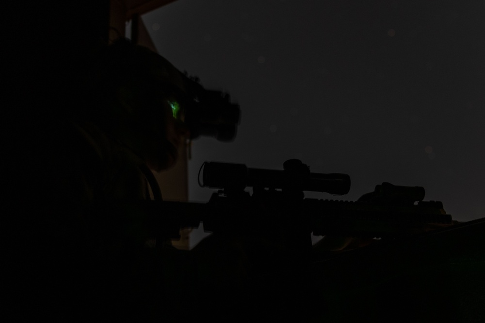 MAGTF Interop 3/6 India Co. Night Raid