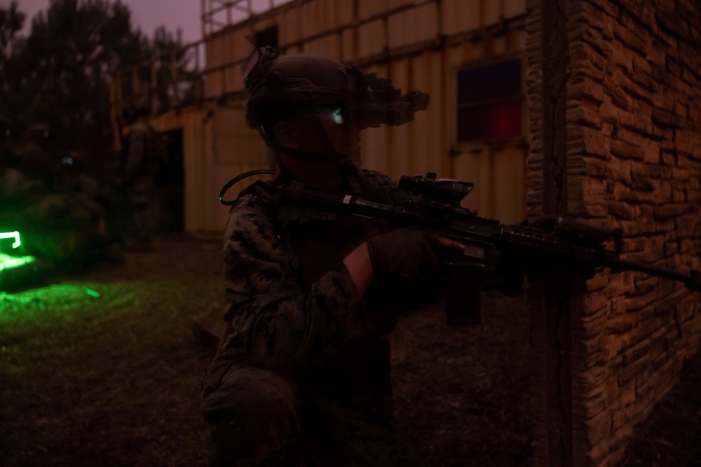 MAGTF Interop 3/6 Lima Co. Night Raid